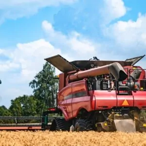 Rice Sorting Machine
