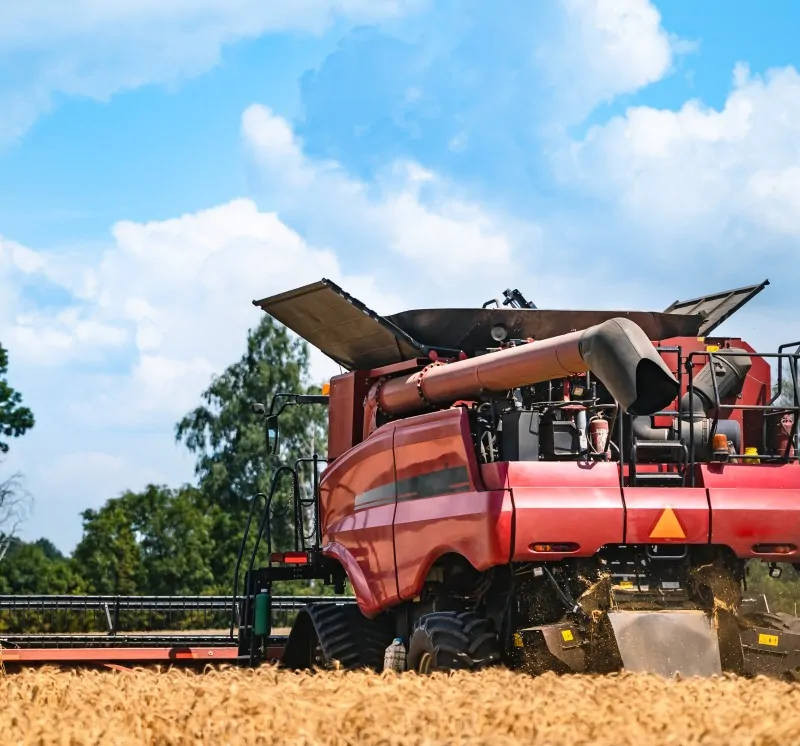 Rice Sorting Machine